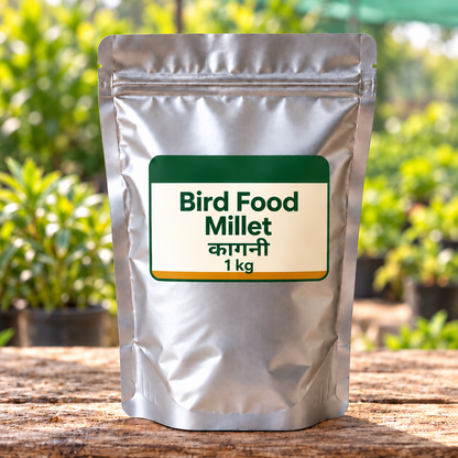 Kagni millet — 1 kg silver pack