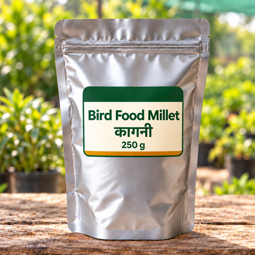 Bird Food Millet (कागनी)