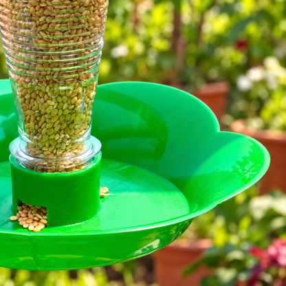 Mini Bird Food Feeder — tray-detail