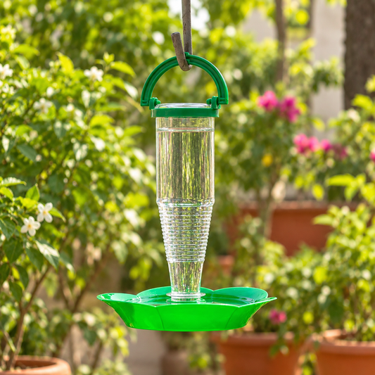Mini Bird Water Feeder — main