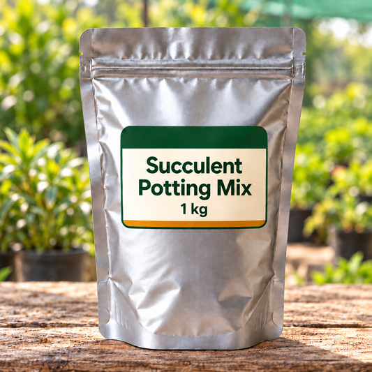 Succulent Potting Mix silver pack front in nursery