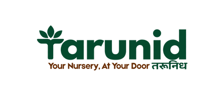 Tarunid