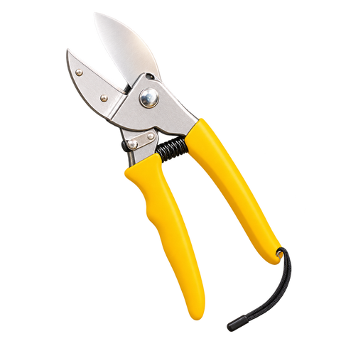 Tools & Accessories